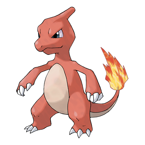 Pokemon Charmeleon