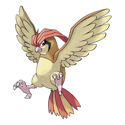 Pokemon Pidgeotto
