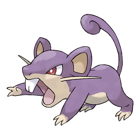 Pokemon Rattata
