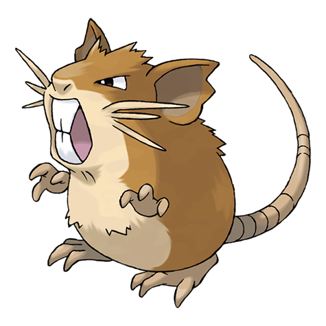 Pokemon Raticate