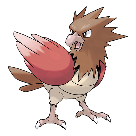 Pokemon Spearow