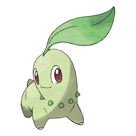 Pokemon Chikorita