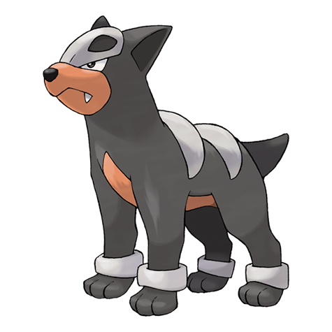 Pokemon Houndour