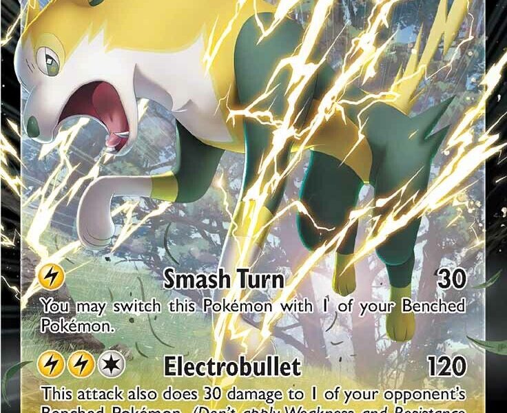 Boltund V Pokemon Kaart