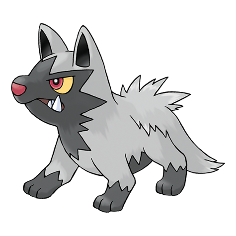 Pokemon Poochyena