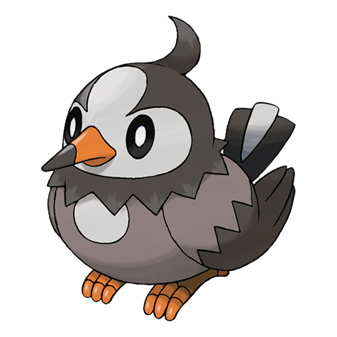 Pokemon Starly