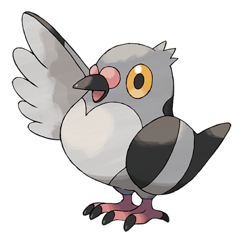 Pokemon Pidove