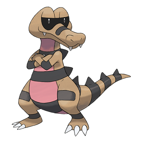 Pokemon Krokorok