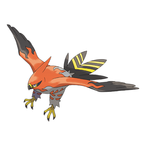 Pokemon Talonflame