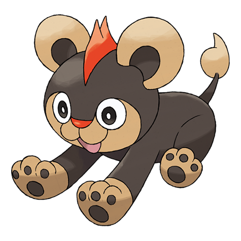Pokemon Litleo