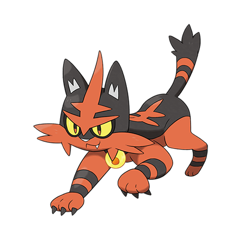 Pokemon Torracat