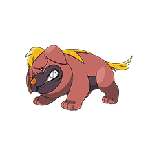 Pokemon Maschiff