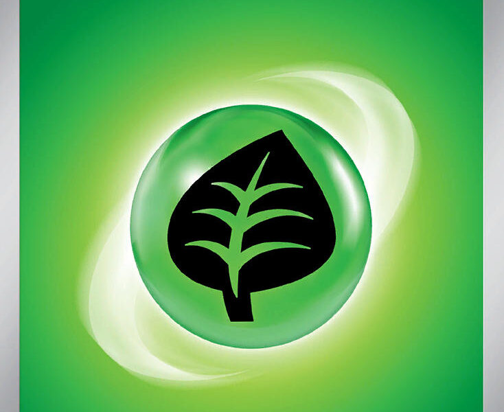 Basic {G} Energy Pokemon Kaart
