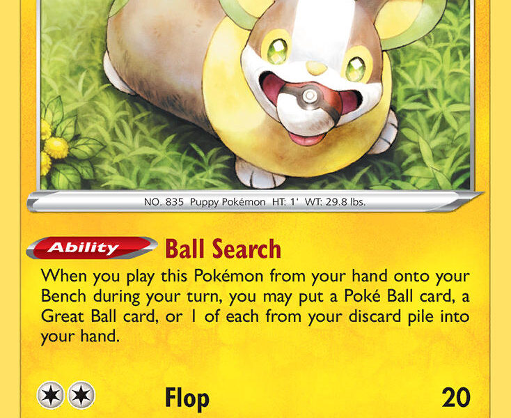Yamper Pokemon Kaart