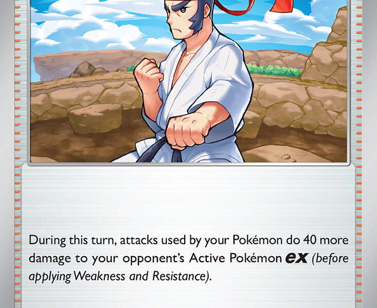 Black Belt’s Training Pokemon Kaart