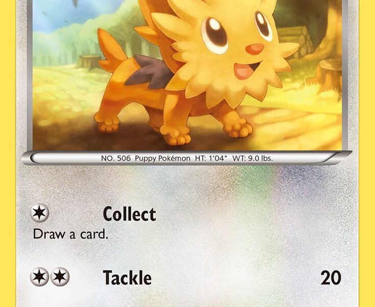 Lillipup Pokemon Kaart
