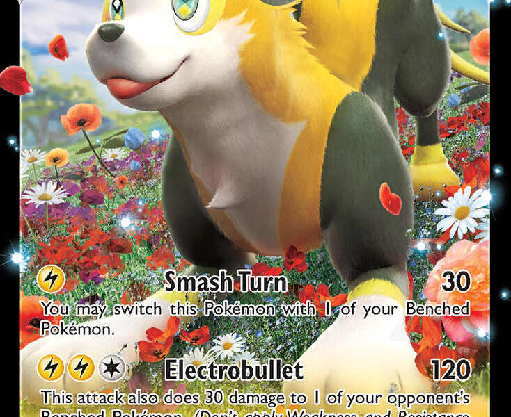 Boltund V Pokemon Kaart