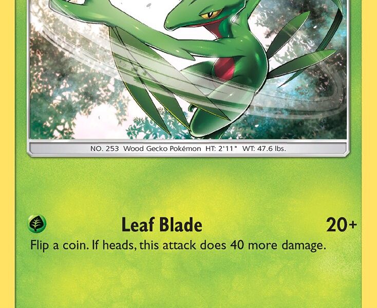 Grovyle Pokemon Kaart