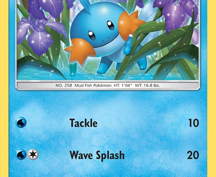 Mudkip Pokemon Kaart
