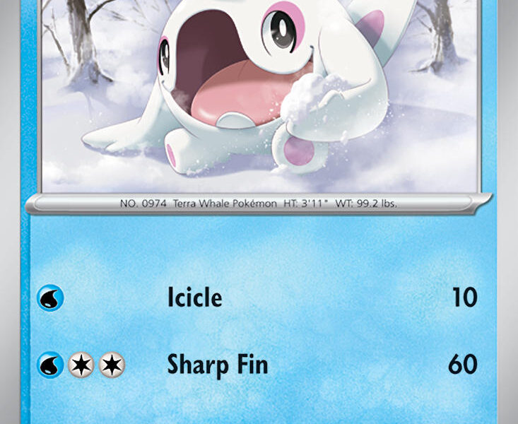 Cetoddle Pokemon Kaart