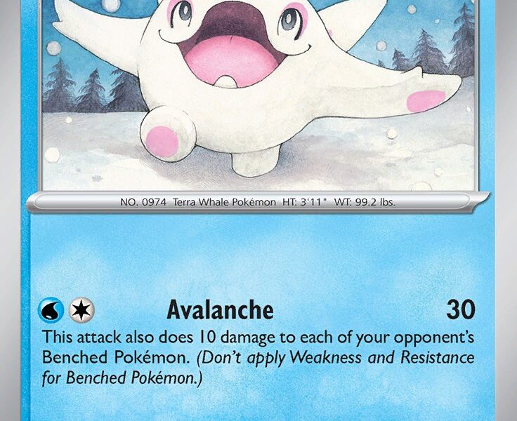 Cetoddle Pokemon Kaart