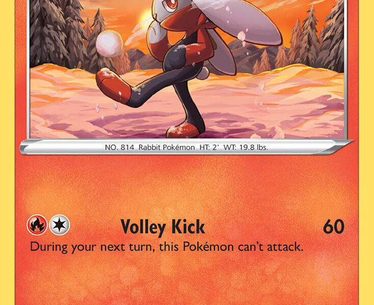 Raboot Pokemon Kaart