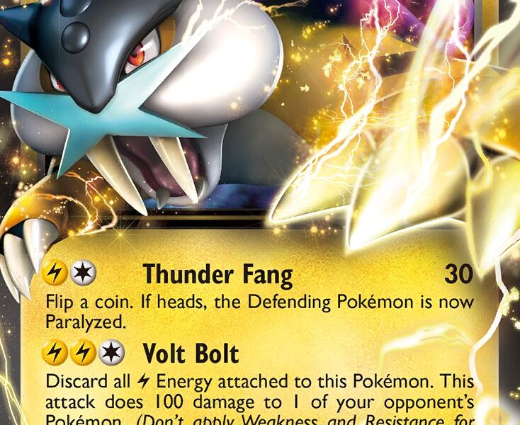 Raikou-EX Pokemon Kaart