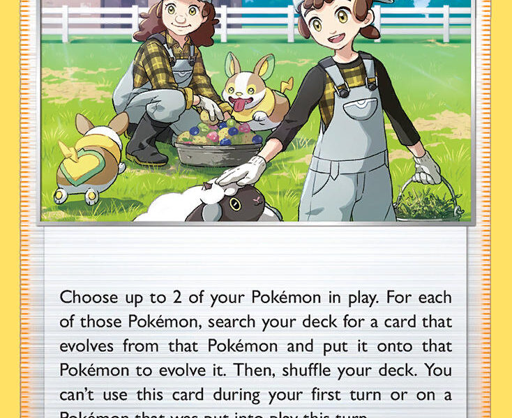 Pokémon Breeder’s Nurturing Pokemon Kaart