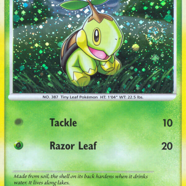 Turtwig Pokemon Kaart