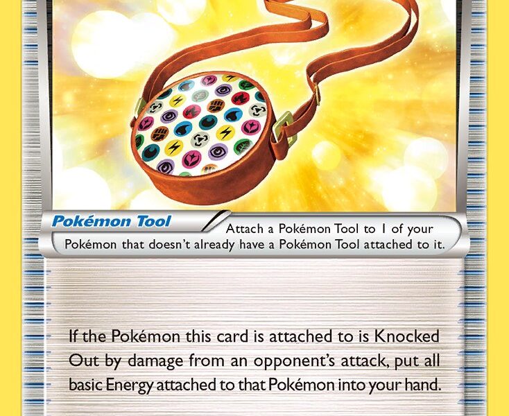 Energy Pouch Pokemon Kaart