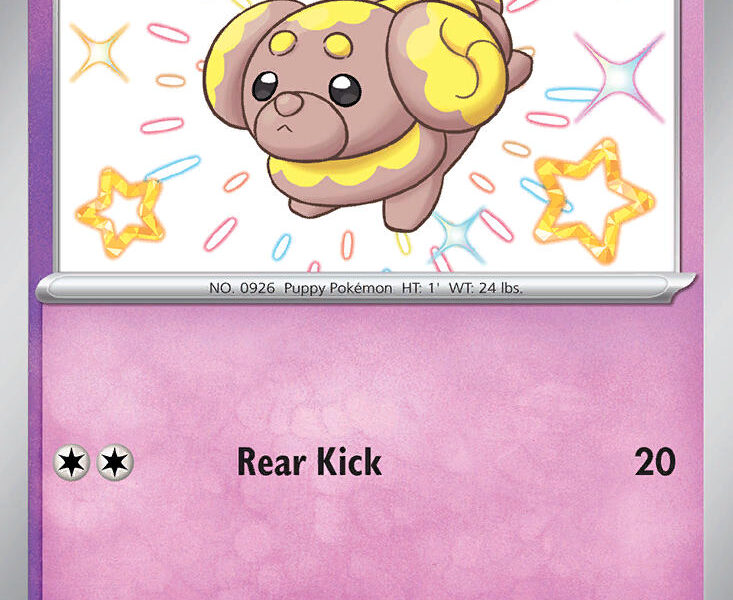 Fidough Pokemon Kaart