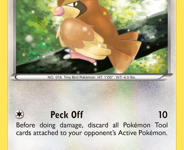 Pidgey Pokemon Kaart