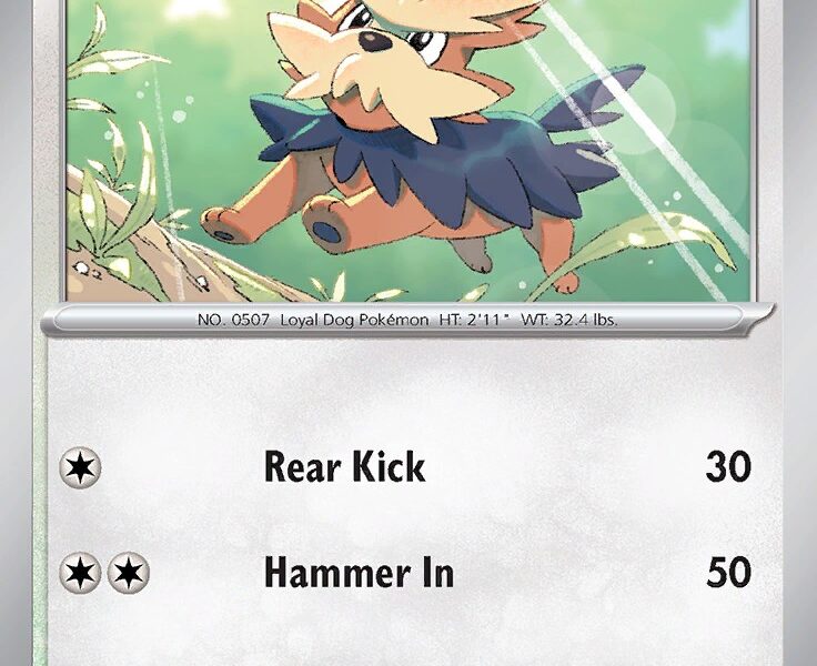 Herdier Pokemon Kaart