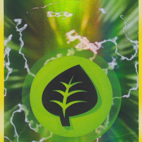 Grass Energy Pokemon Kaart