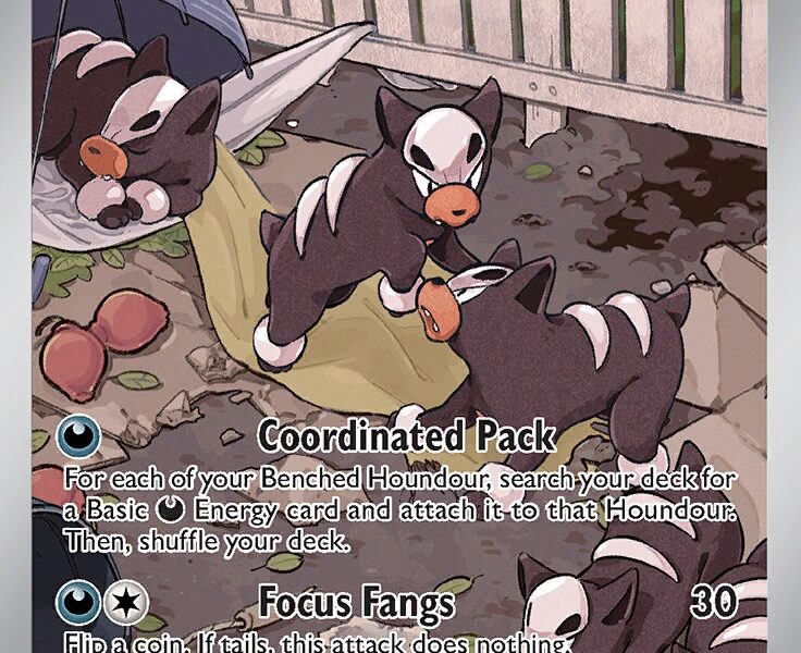 Houndour Pokemon Kaart