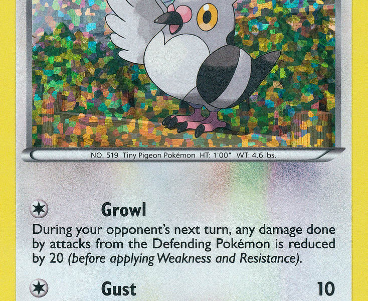 Pidove Pokemon Kaart