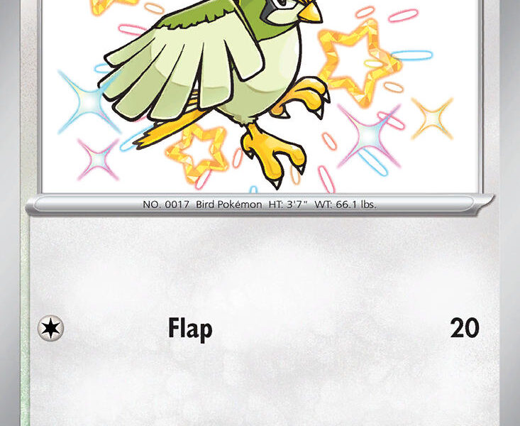 Pidgeotto Pokemon Kaart