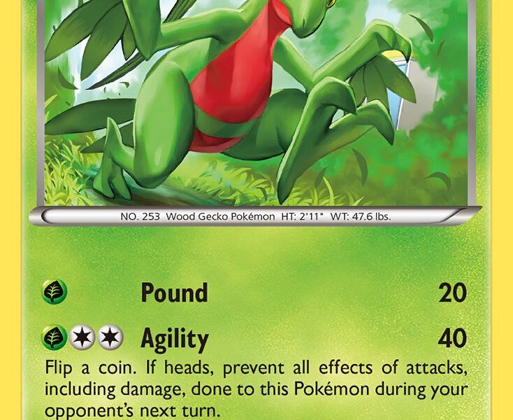 Grovyle Pokemon Kaart