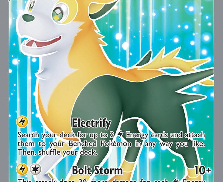 Boltund V Pokemon Kaart