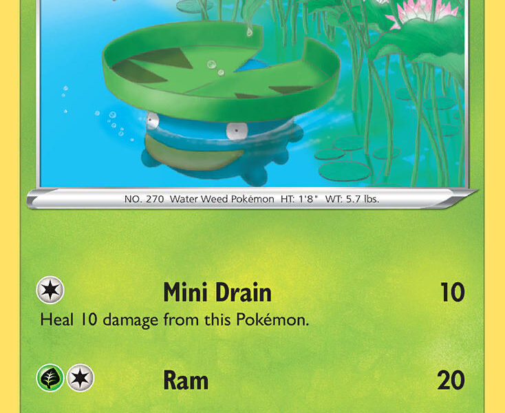 Lotad Pokemon Kaart