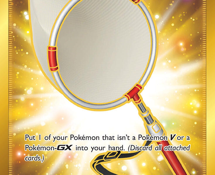 Scoop Up Net Pokemon Kaart