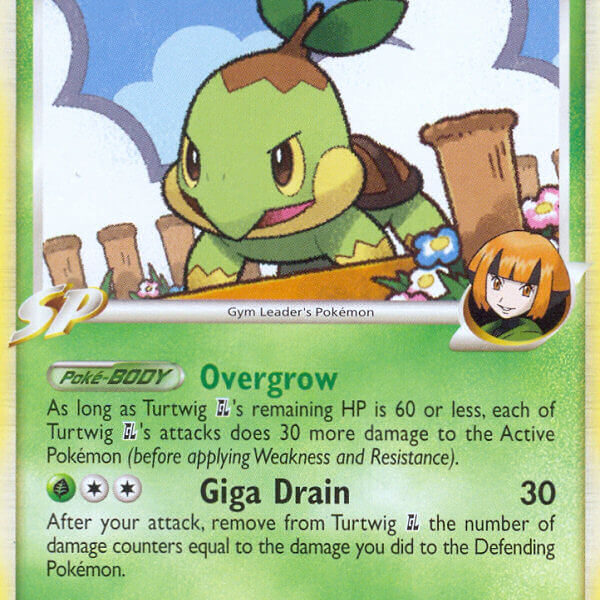 Turtwig GL Pokemon Kaart