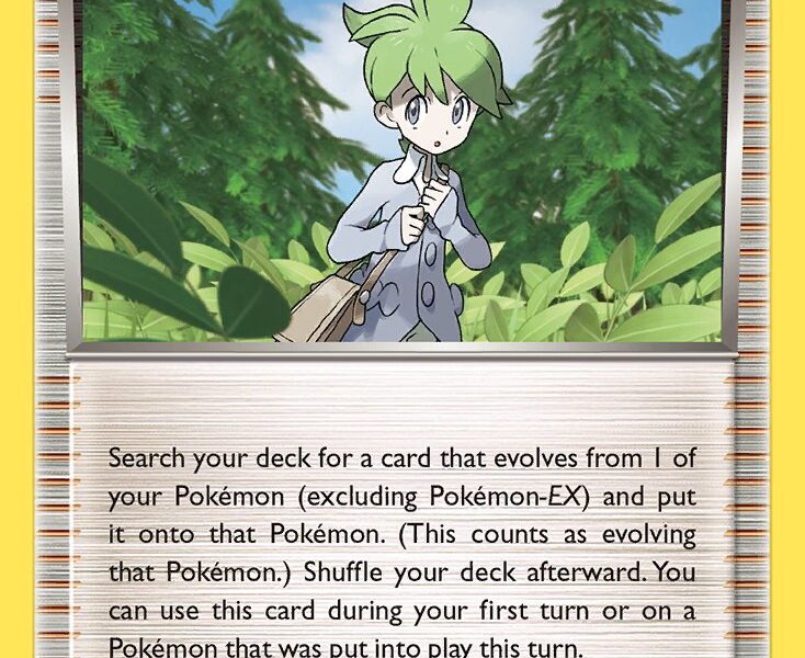 Wally Pokemon Kaart