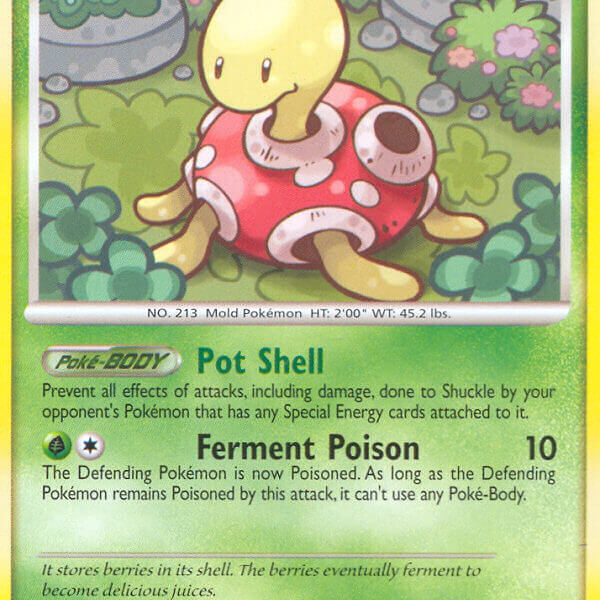 Shuckle Pokemon Kaart