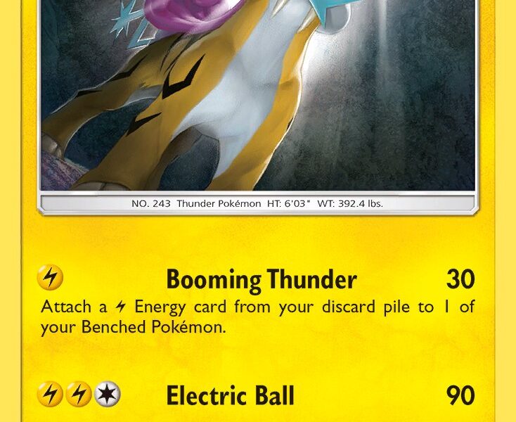 Raikou Pokemon Kaart