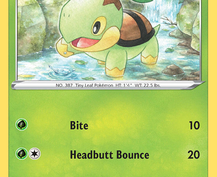 Turtwig Pokemon Kaart