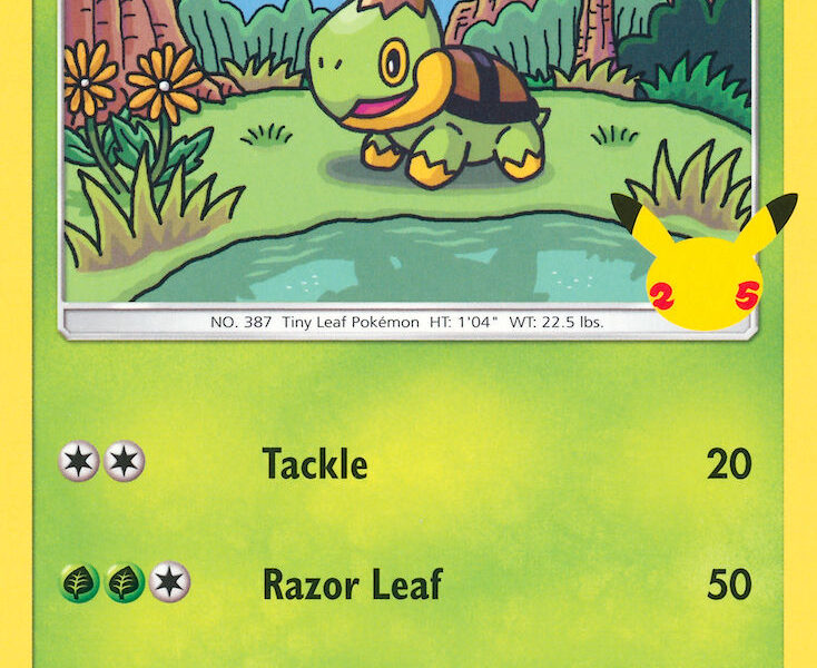 Turtwig Pokemon Kaart
