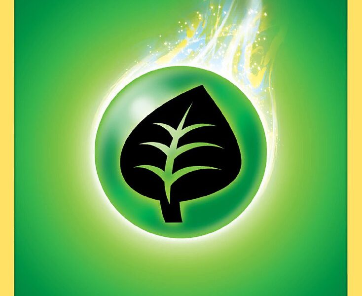 Grass Energy Pokemon Kaart