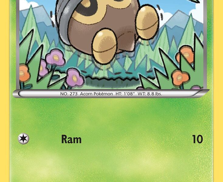 Seedot Pokemon Kaart