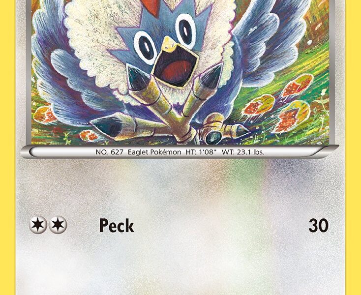 Rufflet Pokemon Kaart